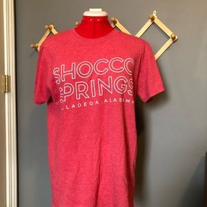 Miscellaneous tshirts. Ranging from a size medium to extra large